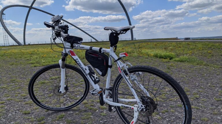 Antrag nach §14 GeschO des Rates und der Ausschüsse der Stadt Herten in Verbindung mit Antrag auf Einberufung einer Ratssitzung gern. §47 (1) GO NRW mit explizitem Hinweis auf besondere Dringlichkeit – Durchführung eines Ratsbürgerentscheids nach §26 (1) GO NRW